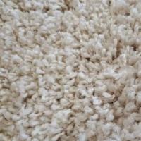 Ковролин Urggazcarpet Shaggy Bravo 246-bej (рулон: 4x25=100м2)