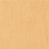 Линолеум Tarkett Standart Plus 485 (рулон: 2x23=46 м2)