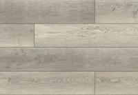 SPC Ламинат Floorwood Quantum 5/43 4V 8801 Дуб Содди 1220x228
