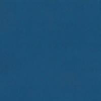 Линолеум Tarkett Omnisports Reference Royal Blue (рулон: 2x20.5=41 м2)