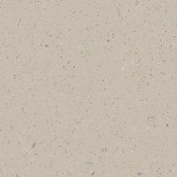 Линолеум Forbo Surestep Original 172312 Mortar (рулон: 2x25=50 м2)