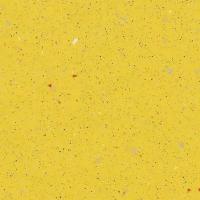 Линолеум Forbo Surestep Original 172522 Corn (рулон: 2x25=50 м2)