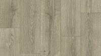 Линолеум Tarkett Caprice Dilan 2 (рулон: 2.5x30=75 м2)