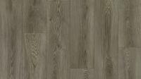 Линолеум Tarkett Club Evora 2 (рулон: 3x23=69 м2)