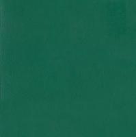 Линолеум Tarkett Omnisports Speed Forest Green (рулон: 2x20.5=41 м2)
