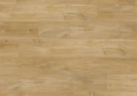LVT Плитка Quick-Step Balance Glue Plus 2.5/33 4V BAGP40039 Дуб Каньон Натуральный 1256x194