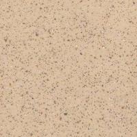 Линолеум Forbo Emerald Standart 8057 (рулон: 2x25=50 м2)