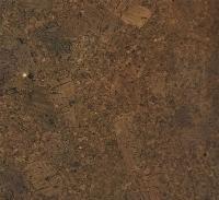 Пробковое покрытие IberCork Амадора маррон 6 VG 600x300x6