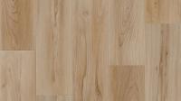 Линолеум Tarkett Club Bride 1 (рулон: 3.5x23=80.5 м2)