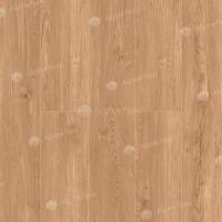 SPC Ламинат Alpine Floor Sequoia 4/43 4V ЕСО 6-4 Секвойя Royal 1220x183