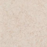 Линолеум Tarkett IQ Megalit 3390 502 (рулон: 2x23=46 м2)