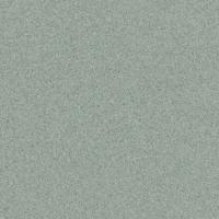 Транспортное ПВХ покрытие Tarkett Primo Plus M 311 (рулон: 2x23=46 м2)