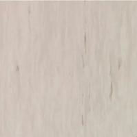 Линолеум Tarkett Standart Plus 910 (рулон: 2x23=46 м2)