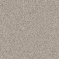Транспортное ПВХ покрытие Tarkett Primo Plus Marine 313 (рулон: 2x23=46 м2)