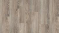 SPC Ламинат Tarkett Prime Click 3.85/31 4V Nut Brown 1120x169