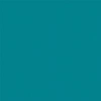 Спортивное ПВХ покрытие Tarkett Omnisports Action 65 Teal (рулон: 2x20.5=41 м2)