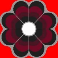 Ковролин Oz Kaplan (Оз Каплан) Defier 01500A ANP13
