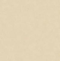 Линолеум Tarkett Acczent Esquisse 01 (рулон: 2x23=46 м2)