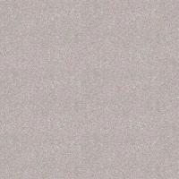 Линолеум Profi Master Proxi 2 887 (рулон: 2x18=36 м2)