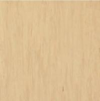Линолеум Tarkett Standart Plus 484 (рулон: 2x23=46 м2)
