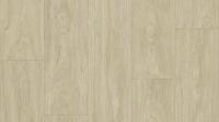 Линолеум Tarkett Club Maximus 1 (рулон: 3.5x23=80.5 м2)