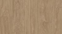 Линолеум Tarkett Favorit Talbot 3 (рулон: 4x25=100 м2)