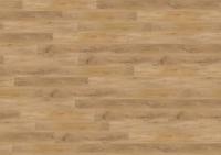 LVT Плитка Wineo 600 Wood rigid 5/41 4V Теплая поверхность 1212х186