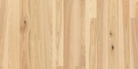Паркетная доска Focus Floor Ash 138 Prestige Simoom White Ясень Кантри 1800x138x14