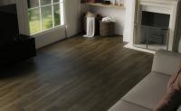 SPC Ламинат Republic Floor Grizzly 5.5/34 4V RENACG002 Bankster 1218x228