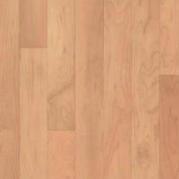 Линолеум Tarkett Omnisports Speed Maple (рулон: 2x20.5=41 м2)