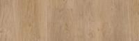 SPC Ламинат Tarkett Progressive House 4.4/31 4V Darin 1220x200.8