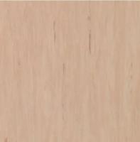 Линолеум Tarkett Standart Plus 914 (рулон: 2x23=46 м2)