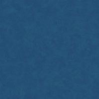 Линолеум Tarkett Acczent Esquisse 10 (рулон: 2x23=46 м2)