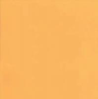 Линолеум Tarkett Omnisports Excel Yellow (рулон: 2x20.5=41м2)