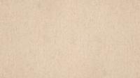 Линолеум Tarkett Travertine Pro Beige 01 (рулон: 2x20=40 м2)