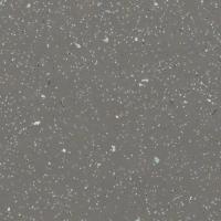 Линолеум Forbo Surestep Original 172632 Coal (рулон: 2x25=50 м2)