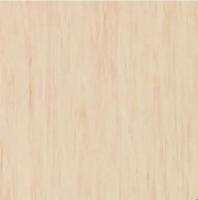 Линолеум Tarkett Standart Plus 913 (рулон: 2x23=46 м2)