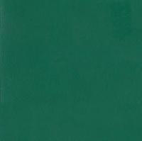 Линолеум Tarkett Omnisports Reference Forest Green (рулон: 2x20.5=41 м2)