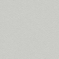 Линолеум Forbo Safestep Aqua 180262 Trout (рулон: 2x25=50 м2)