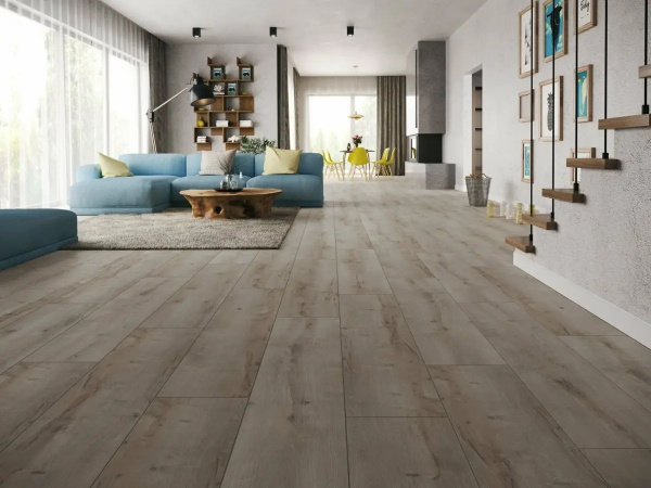 Ламинат Classen Harmony Forte WR 56613 Дуб Трудент 33 класс 8 мм
