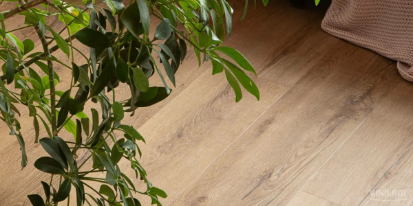 LVT Ламинат Vinilam Glue Luxury 2.5/43 4V 33808 Дуб Витория Glue 1227x232