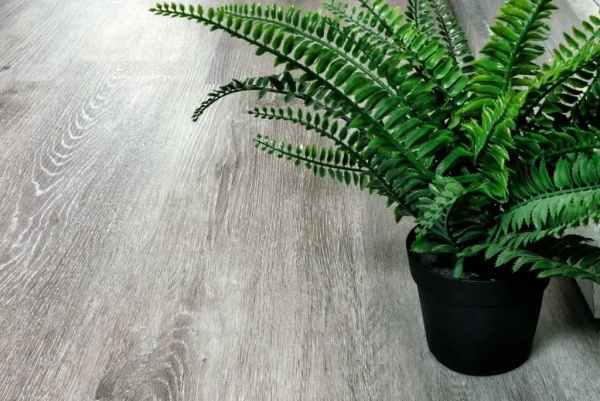 SPC Ламинат Alpine Floor Classic Light 3.5/34 4V ECO 134-55 MC Ясень Серый 1220x183