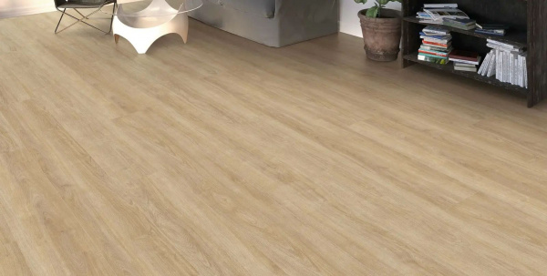 Ламинат Haro Tritty 100 Gran Via 541517 Дуб Элеганза Пуро 8 мм