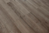 SPC Ламинат Damy Floor Family 4/43 4V JC8271-7 Дуб Изысканный 1220x180